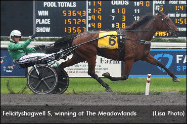 Felicityshagwell S Retired