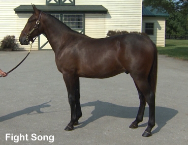 Fight Song Tops Fourth Session