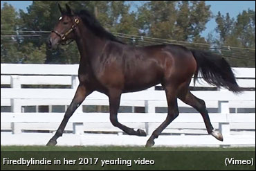 Mohawk's First Baby Races Complete