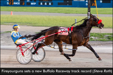 Fireyourguns Breaks Buffalo Record