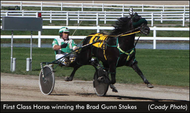First Class Horse Sets Track Record
