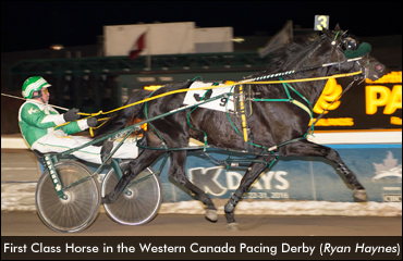 First Class Horse Dominates Derby