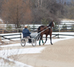 Winter Training