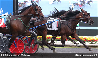 Fit Bitt Fires In OSS Grassroots