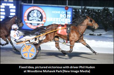 Fixed Idea Starting To Shine