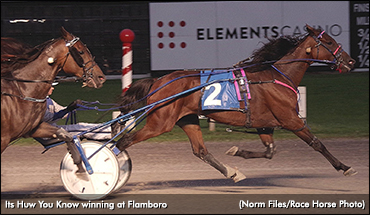 Its Huw You Know Ignites Tote