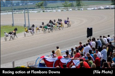 Awol Hanover Tough At Flamboro