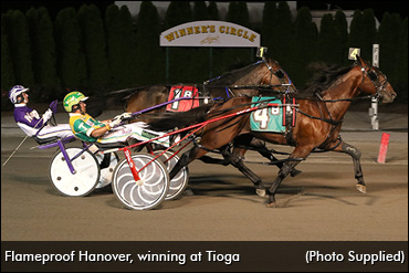 New Stallion, New Opportunity In PEI