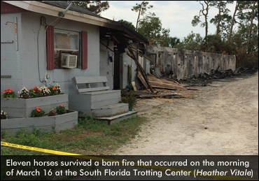 Horses Return To Florida Trotting Center