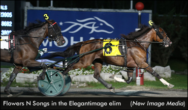 Reid Fillies Ready For Saturday