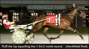 Success From The Ground Up