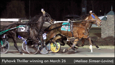 Flyhawk Thriller Upsets In Open Trot