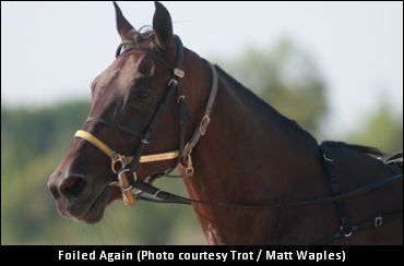 Foiled Again Wins Another Qualifier