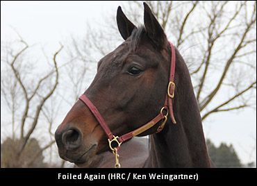 Foiled Again In To Go Saturday