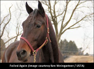 Foiled Again Looking For 100 Saturday