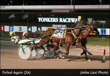 Fields Set For Levy & Matchmaker