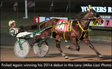 Foiled Again Is Back; Burke Dominates Levy Opener