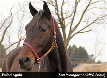 ‘Foiled’ Readies For ‘Battle’