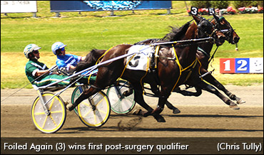 Foiled Again Returns From Surgery