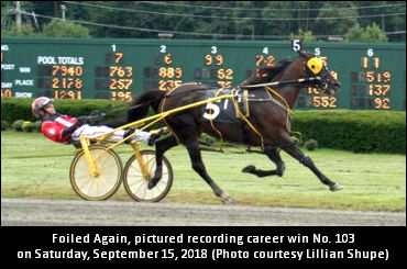 Three Straight Wins For Foiled Again