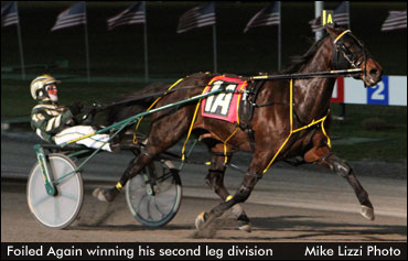 Foiled Again Poised For Levy Sweep