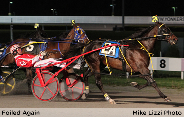 Foiled Again Defends Levy Title