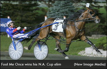 Fool Me Once Retired, To Stud