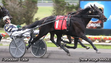 Favourites Dominate Gold Divisions