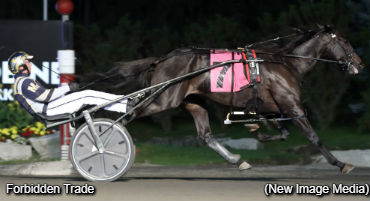 Trotting Talent On Display At Mohawk