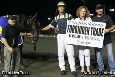 Hambo Champ Enjoys Home Cookin'