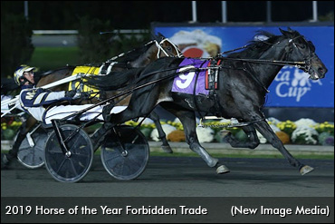 Expect A Better Forbidden Trade