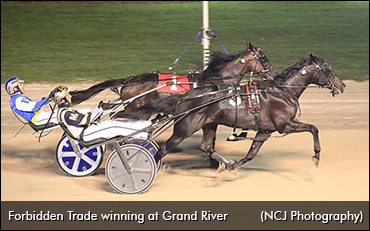 'Sky Is The Limit' For Forbidden Trade