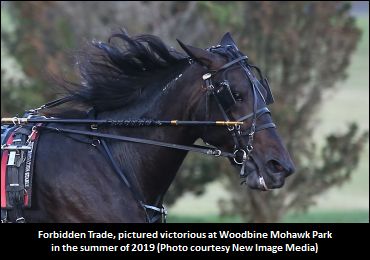 More Fine Tuning For Forbidden Trade
