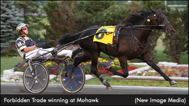 Star Power On Display In Rowe