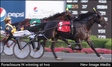 Steacy: "Our Horse Is Ready"