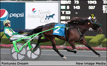 Trotters Tackle Elegantimage, Goodtimes Consolations 