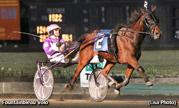 Fountainbleau Volo Sweeps Horse & Groom