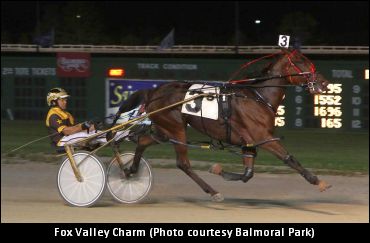 Filly Has ‘Charmed’ Her Connections