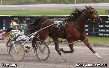 Foxy Lady Equals Record In 'Keystone'