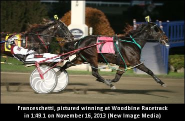 ‘Looooooooooou’ Turning Heads