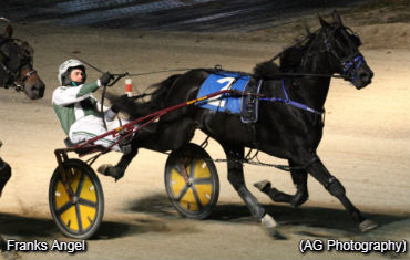 Autumn Sweep For Franks Angel