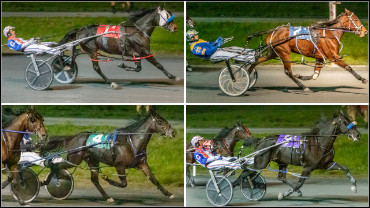 Marino, Campbell Double In Millbank