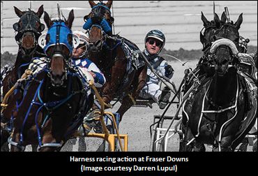 Tough It Out Does Just That