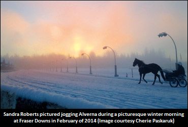 British Columbia Stakes Adjusted