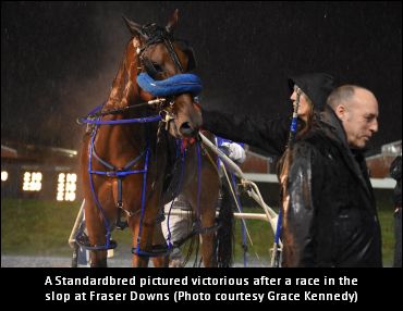 Fraser Downs Race Day Profiled