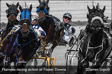 Racing Returns To Fraser Downs