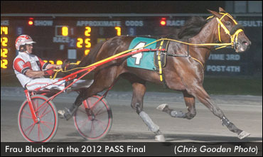 Can 'Frau' Scare Off A 'Bee'?