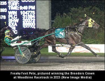 Freaky Feet Pete Retired, To Stud