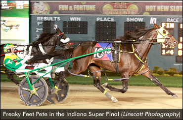 Freaky Feet Pete Set For 2016 Debut
