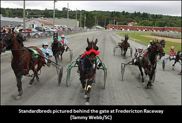 Racing Returns To Fredericton